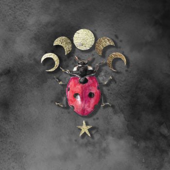 Ladybug Sticker