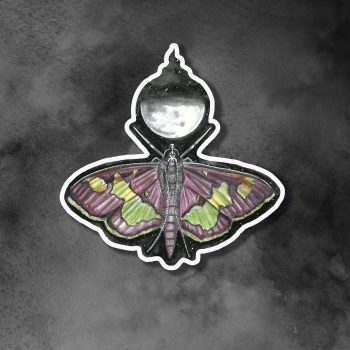 Mint Moth Sticker