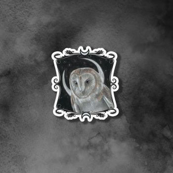 Owl Sticker